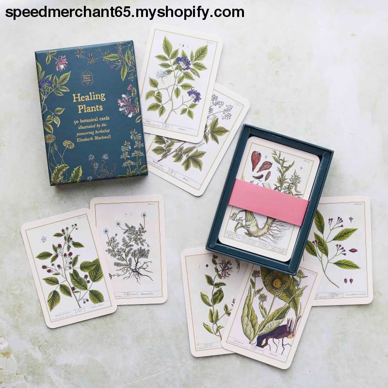 Healing Plants: 50 botanical cards illustrated