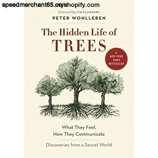 The Hidden Life of Trees: What They Feel How