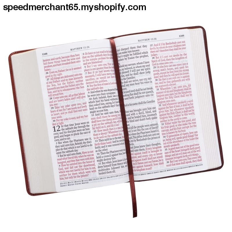 KJV Holy Bible Giant Print Standard Size Faux Leather Red