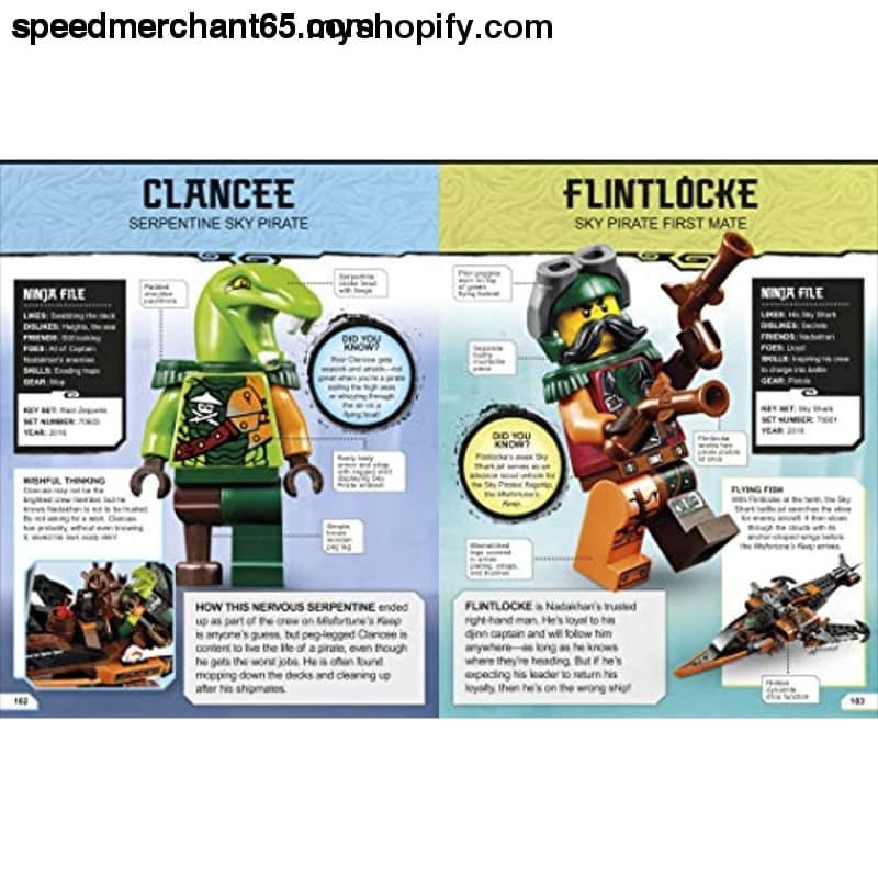 LEGO NINJAGO Character Encyclopedia New Edition: (Library