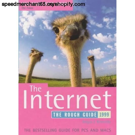 The Rough Guide to the Internet 1999 - DIY