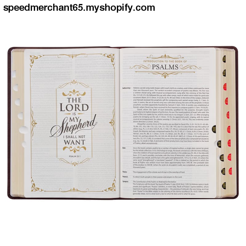 KJV Study Bible Large Print King James Version Holy Thumb
