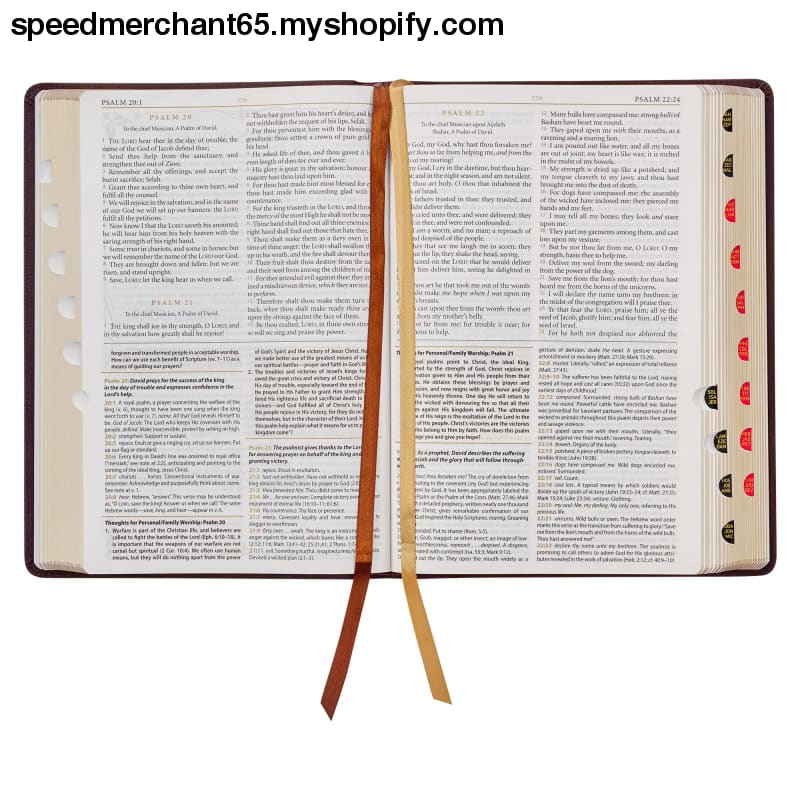 KJV Study Bible Large Print King James Version Holy Thumb